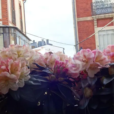 La Casita De Cayetana 佩德拉希塔